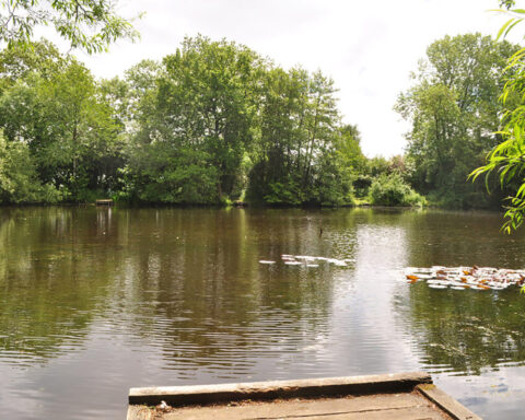 Knightscote Pond