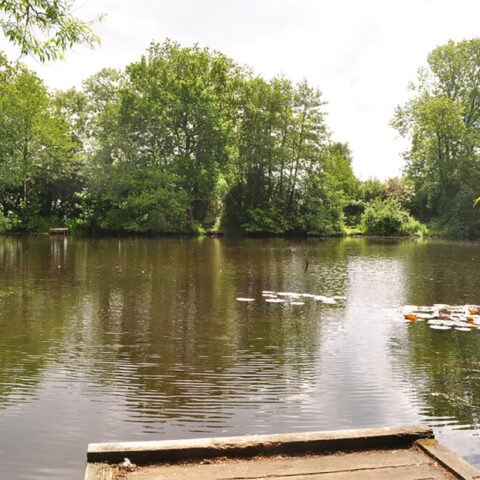 Knightscote Pond