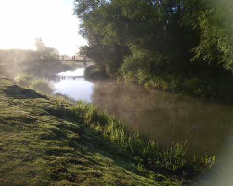 River Cherwell – Hampton Poyle