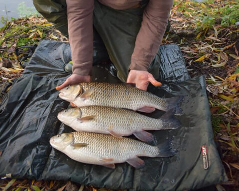 River Colne – Huntsmore