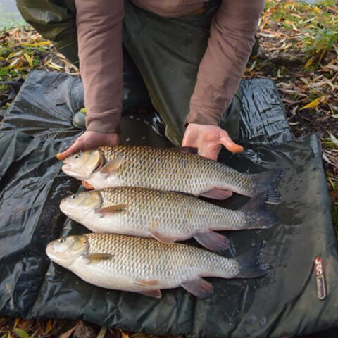 River Colne – Huntsmore