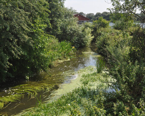 River Colne – Troy