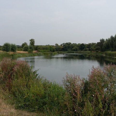 River Thames – Jubilee