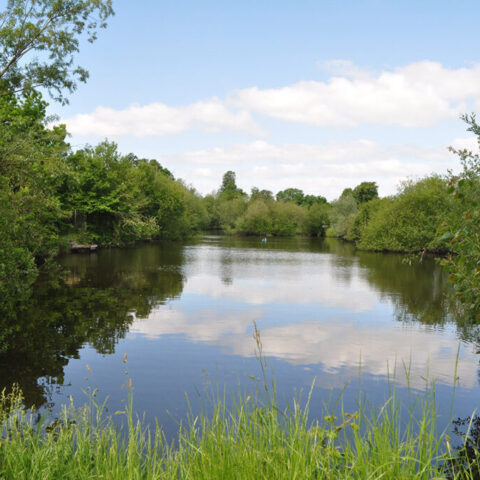 Marriner’s Pool